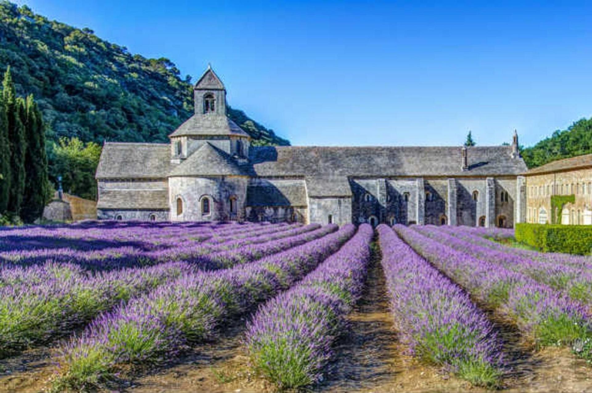 La Bastide - Le Grenache - Le Syrah Au Domaine Chateau Henri Bonnaud Le Tholonet Exterior foto